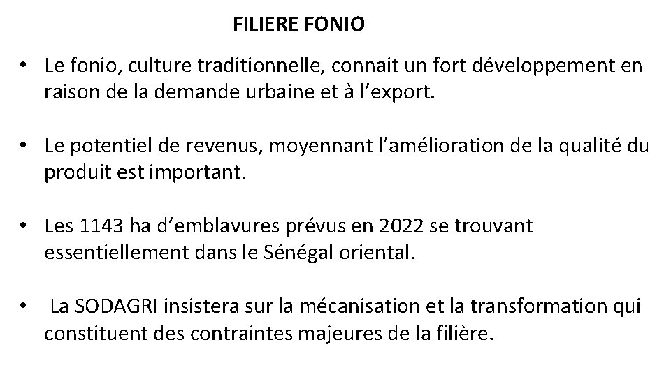 FILIERE FONIO • Le fonio, culture traditionnelle, connait un fort développement en raison de