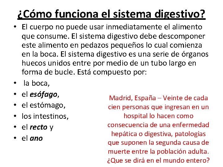 ¿Cómo funciona el sistema digestivo? • El cuerpo no puede usar inmediatamente el alimento