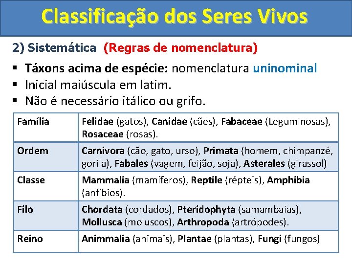 Classificação dos Seres Vivos 2) Sistemática (Regras de nomenclatura) § Táxons acima de espécie: