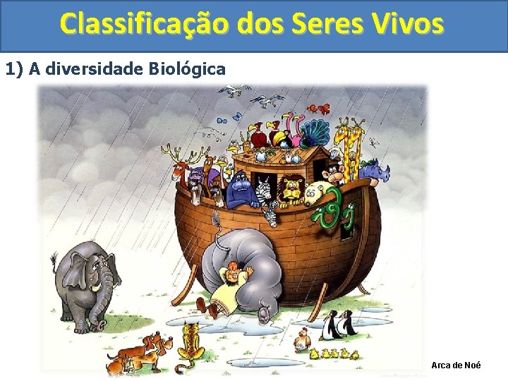 Classificação dos Seres Vivos 1) A diversidade Biológica Arca de Noé 