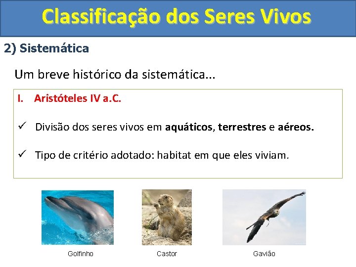 Classificação dos Seres Vivos 2) Sistemática Um breve histórico da sistemática. . . I.
