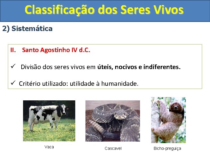Classificação dos Seres Vivos 2) Sistemática II. Santo Agostinho IV d. C. ü Divisão