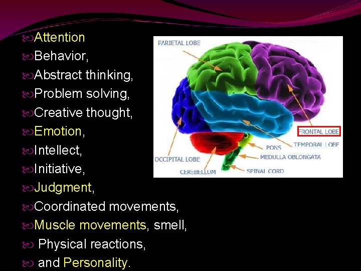  Attention Behavior, Abstract thinking, Problem solving, Creative thought, Emotion, Intellect, Initiative, Judgment, Coordinated