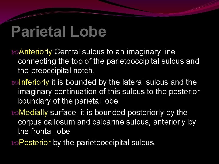 Parietal Lobe Anteriorly Central sulcus to an imaginary line connecting the top of the