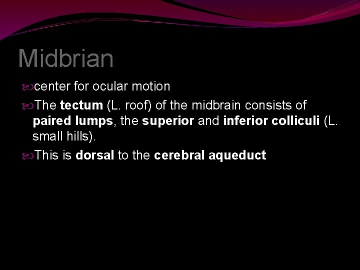 Midbrian center for ocular motion The tectum (L. roof) of the midbrain consists of