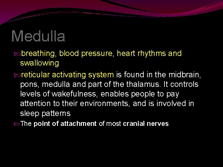 Medulla breathing, blood pressure, heart rhythms and swallowing reticular activating system is found in