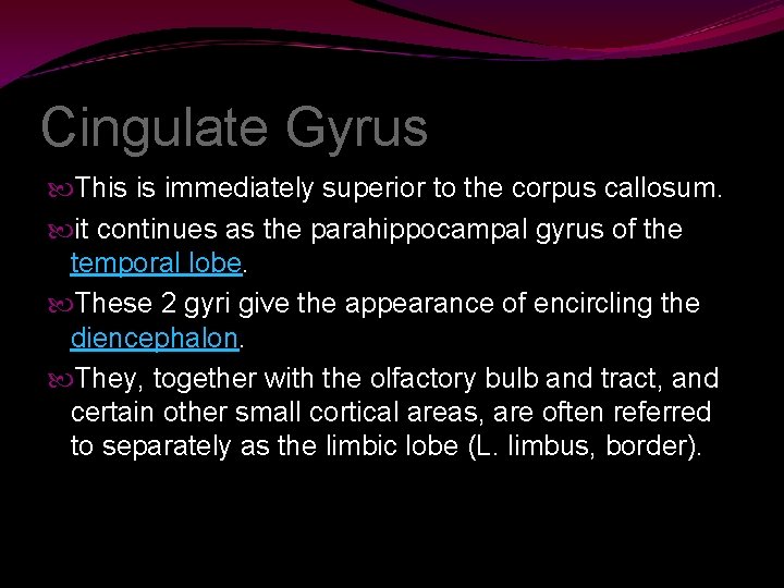 Cingulate Gyrus This is immediately superior to the corpus callosum. it continues as the