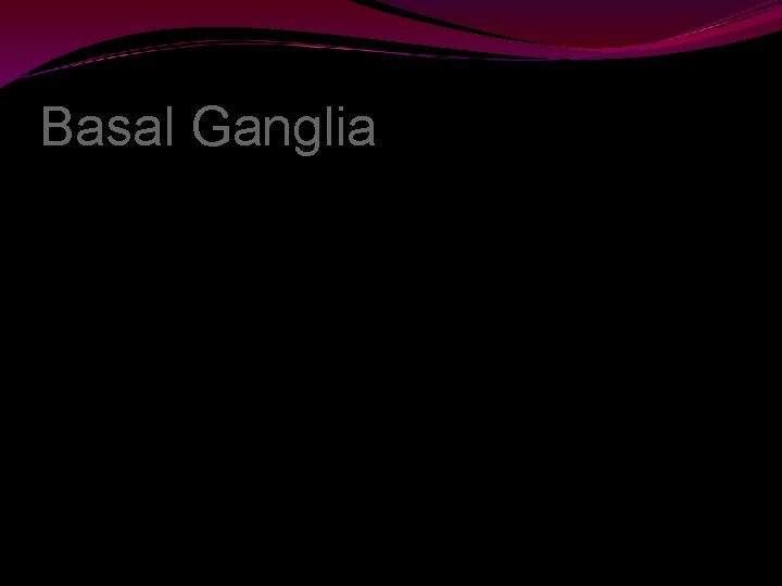 Basal Ganglia 