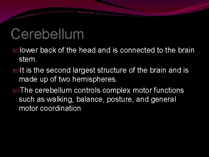 Cerebellum lower back of the head and is connected to the brain stem. It