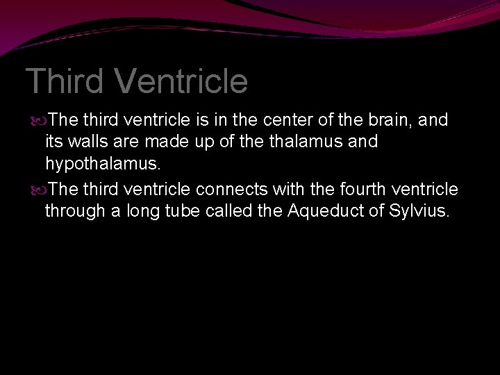 Third Ventricle The third ventricle is in the center of the brain, and its