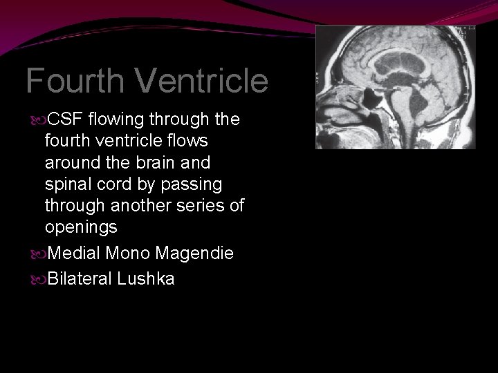 Fourth Ventricle CSF flowing through the fourth ventricle flows around the brain and spinal