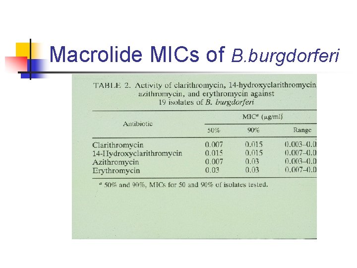 Macrolide MICs of B. burgdorferi 