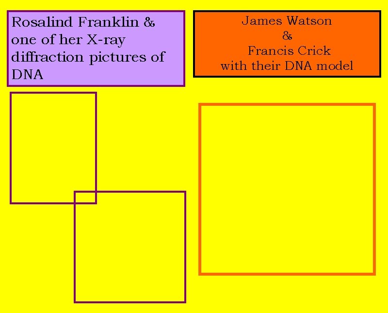 Rosalind Franklin & one of her X-ray diffraction pictures of DNA James Watson &