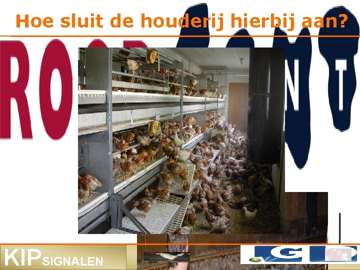 Hoe sluit de houderij hierbij aan? KIPSIGNALEN 