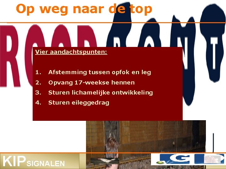 Op weg naar de top Vier aandachtspunten: 1. Afstemming tussen opfok en leg 2.