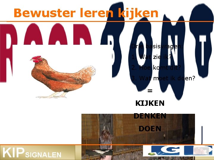 Bewuster leren kijken Drie basisvragen: 1. Wat zie ik? 2. Hoe komt dit? 3.