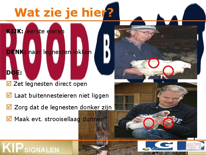 Wat zie je hier? KIJK: eerste eieren DENK: naar legnesten lokken DOE: Zet legnesten