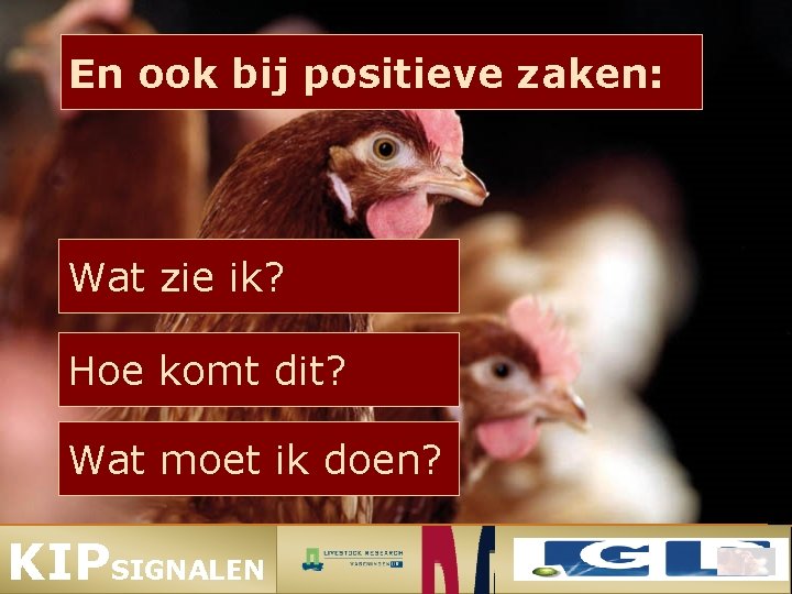En ook bij positieve zaken: Wat zie ik? Hoe komt dit? Wat moet ik