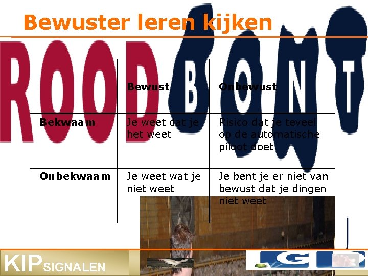 Bewuster leren kijken Bewust Onbewust Bekwaam Je weet dat je het weet Risico dat