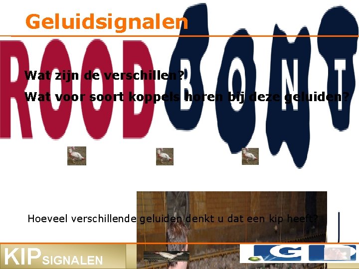 Geluidsignalen Wat zijn de verschillen? Wat voor soort koppels horen bij deze geluiden? Hoeveel