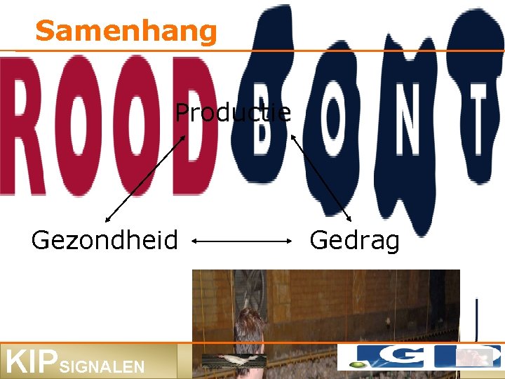 Samenhang Productie Gezondheid KIPSIGNALEN Gedrag 