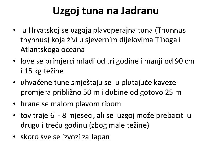 Uzgoj tuna na Jadranu • u Hrvatskoj se uzgaja plavoperajna tuna (Thunnus thynnus) koja