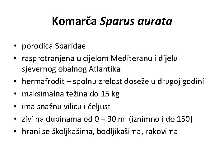 Komarča Sparus aurata • porodica Sparidae • rasprotranjena u cijelom Mediteranu i dijelu sjevernog