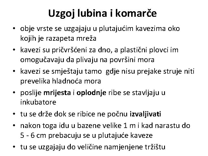 Uzgoj lubina i komarče • obje vrste se uzgajaju u plutajućim kavezima oko kojih