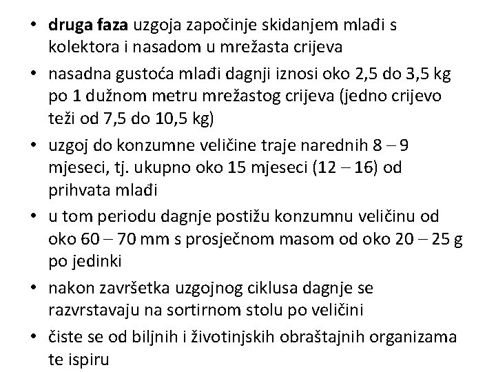  • druga faza uzgoja započinje skidanjem mlađi s kolektora i nasadom u mrežasta