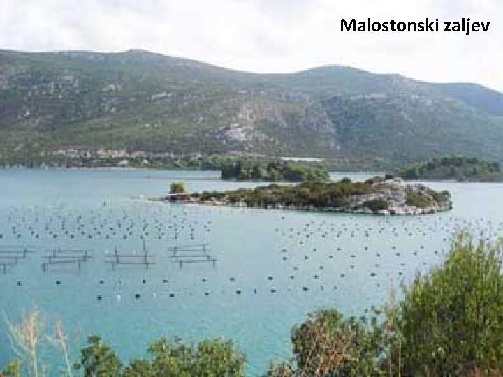 Malostonski zaljev 