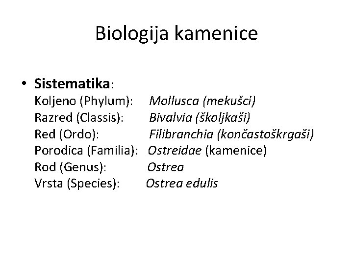 Biologija kamenice • Sistematika: Koljeno (Phylum): Mollusca (mekušci) Razred (Classis): Bivalvia (školjkaši) Red (Ordo):