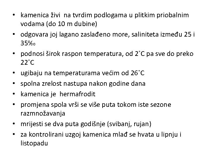  • kamenica živi na tvrdim podlogama u plitkim priobalnim vodama (do 10 m