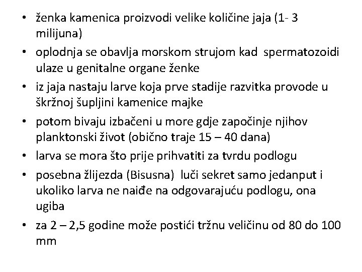  • ženka kamenica proizvodi velike količine jaja (1 - 3 milijuna) • oplodnja