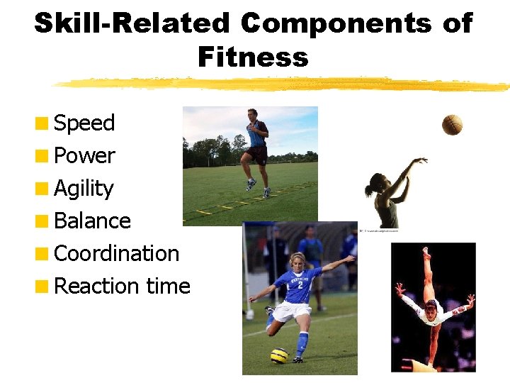 Skill-Related Components of Fitness <Speed <Power <Agility <Balance <Coordination <Reaction time 