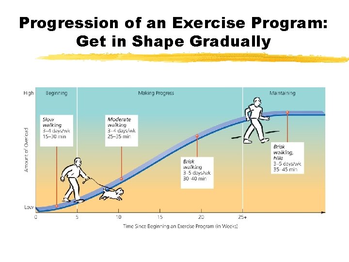 Progression of an Exercise Program: Get in Shape Gradually 