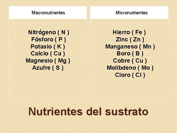 Macronutrientes Micronutrientes Nitrógeno ( N ) Fósforo ( P ) Potasio ( K )