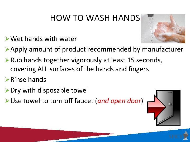 HOW TO WASH HANDS Ø Wet hands with water Ø Apply amount of product