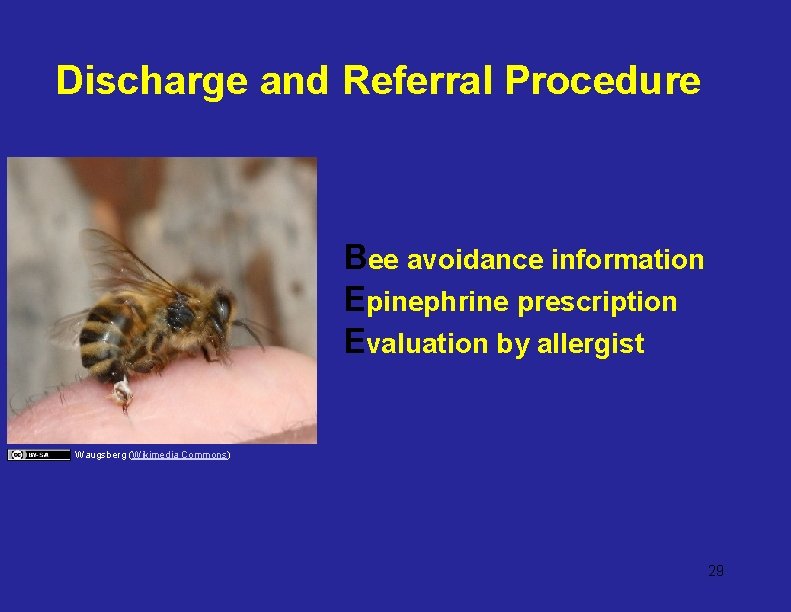 Discharge and Referral Procedure Bee avoidance information Epinephrine prescription Evaluation by allergist Waugsberg (Wikimedia
