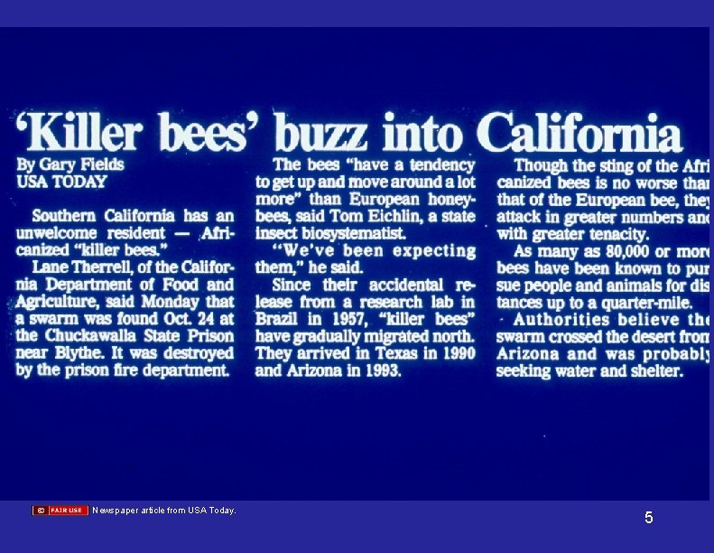 Newspaper article from USA Today. 5 