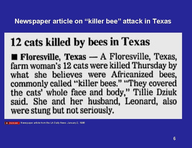 Newspaper article on “killer bee” attack in Texas Newspaper article from the LA Daily
