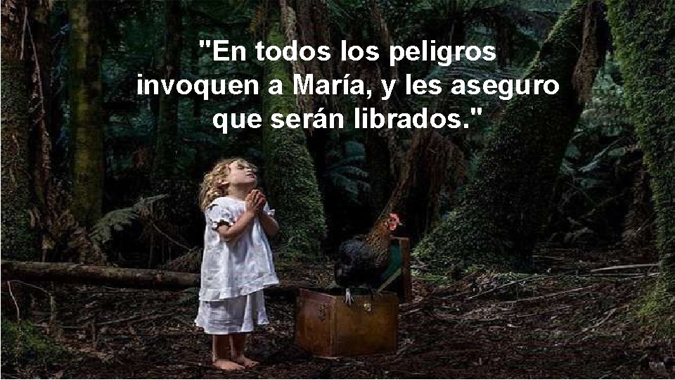 "En todos los peligros invoquen a María, y les aseguro que serán librados. "