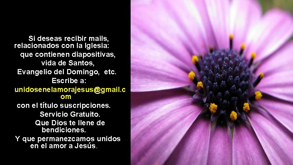 Si deseas recibir mails, relacionados con la Iglesia: que contienen diapositivas, vida de Santos,
