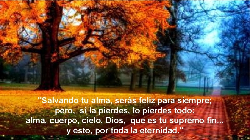 "Salvando tu alma, serás feliz para siempre; pero, si la pierdes, lo pierdes todo: