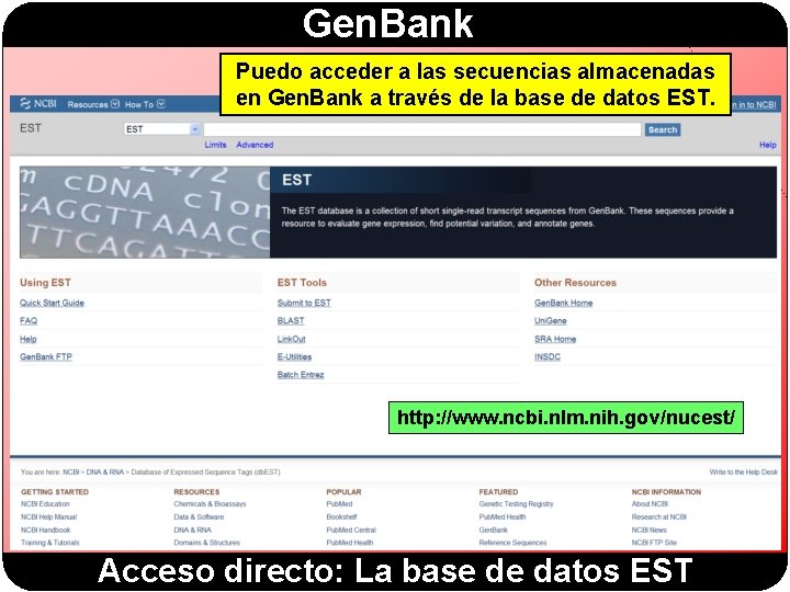 Gen. Bank Puedo acceder a las secuencias almacenadas en Gen. Bank a través de