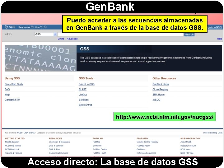 Gen. Bank Puedo acceder a las secuencias almacenadas en Gen. Bank a través de