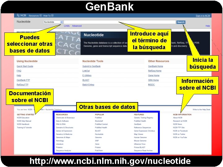 Gen. Bank Puedes seleccionar otras bases de datos Introduce aquí el término de la