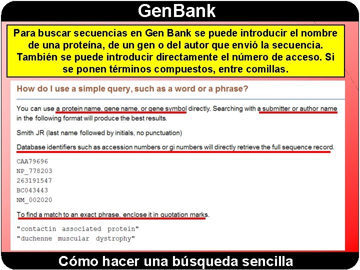 Gen. Bank Para buscar secuencias en Gen Bank se puede introducir el nombre de