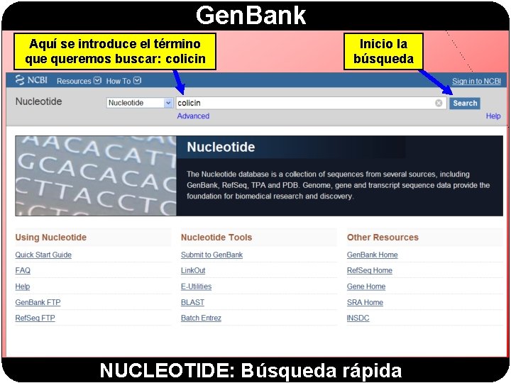 Gen. Bank Aquí se introduce el término queremos buscar: colicin Inicio la búsqueda NUCLEOTIDE: