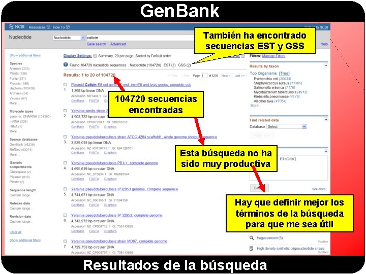 Gen. Bank También ha encontrado secuencias EST y GSS 104720 secuencias encontradas Esta búsqueda