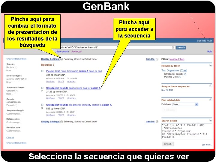 Gen. Bank Pincha aquí para cambiar el formato de presentación de los resultados de